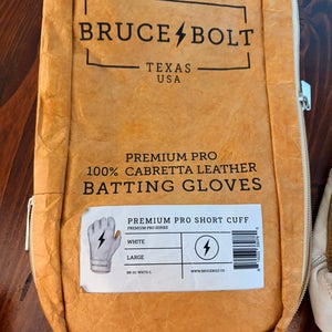 Large Batting Gloves (Used)