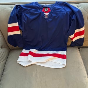 Blue Medium Adult Unisex 3T Jersey (Used)