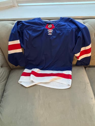 Blue Medium Adult Unisex 3T Jersey (Used)