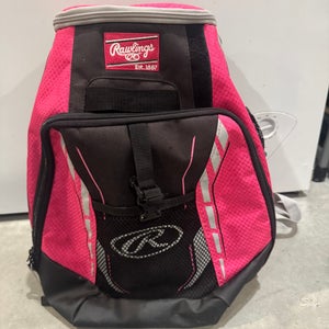 Rawlings Bat Pack (Used)
