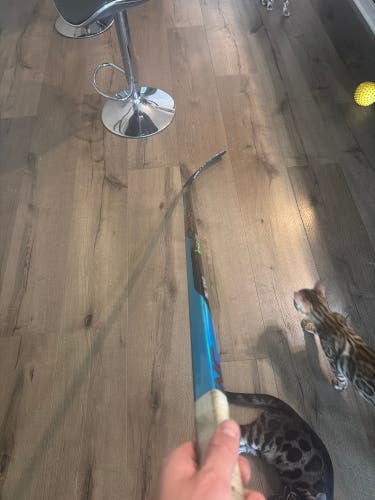 Senior Bauer Nexus Sync Left Hand Hockey Stick P92 70 Flex (Used)