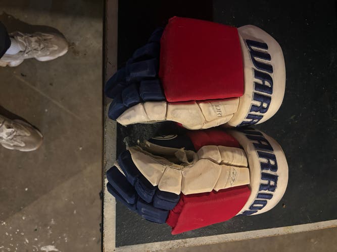 Warrior Alpha Gloves 14" Pro Stock (Used)