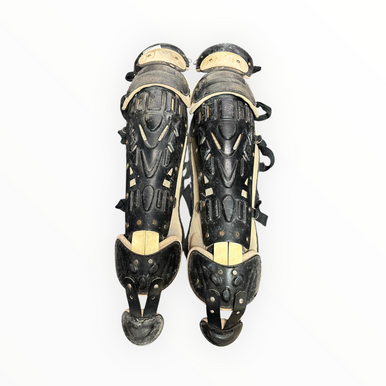 Rawlings (Used) Adult Catcher's Set