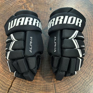 Warrior Alpha DX3 Gloves 8" (Used)