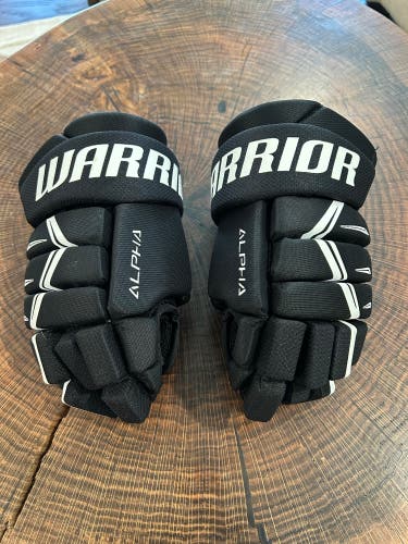 Warrior Alpha DX3 Gloves 8" (Used)