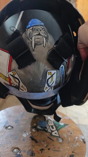 Medium 2021 Sportmask T3 Goalie Mask (Used)