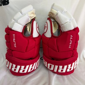 Detroit Red Wings Stadium Gloves Pro Stock (New)