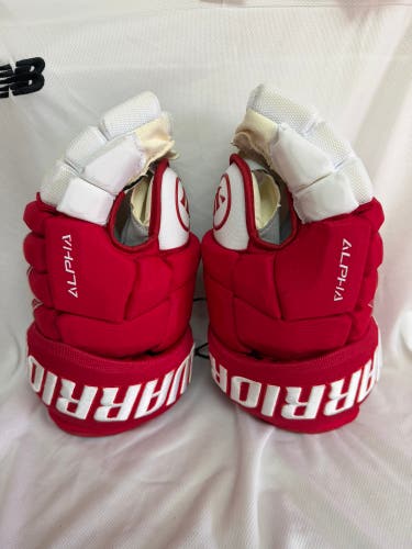 Detroit Red Wings Stadium Gloves Pro Stock (New)