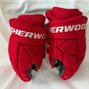 Detroit Red Wings DeBrincat Gloves 13" Pro Stock (Used)