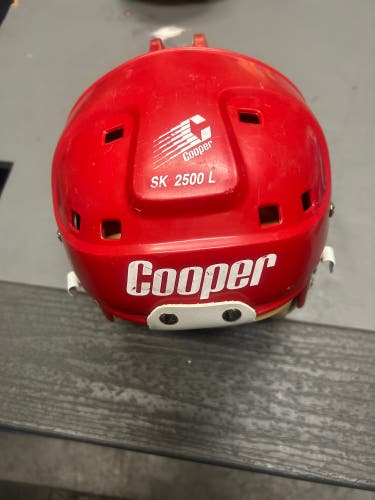 Large SK2000 Helmet (Used)
