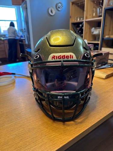 Adult Large Riddell SpeedFlex Helmet (Used)