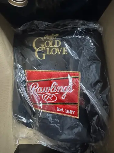 Rawlings Gold Glove Baseball Glove bag (New)