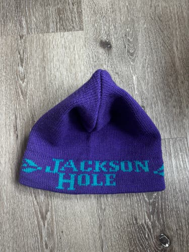 Vintage Jackson Hole beanie! (Rare)