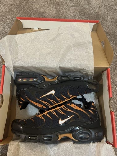 Nike Air Max plus TN “Dark Monarchs