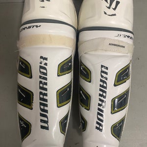 Warrior Dynasty 13" Shin Pads