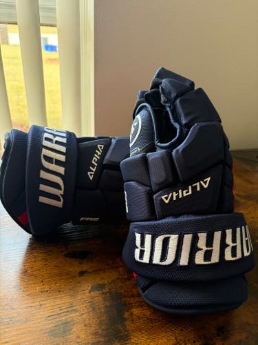 Warrior Alpha FR2 Gloves 14" (Used)