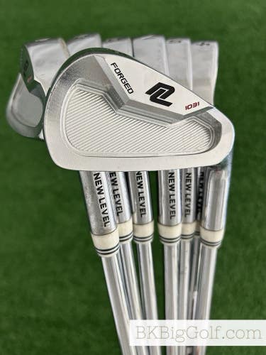 New Level 1031 Forged Iron Set 4-P / NS Pro Modus Tour 120 Stiff