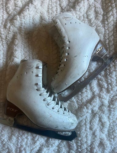 Edea Chorus 215C with Coronation Ace blades