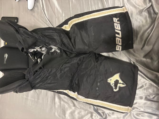 Men's Senior Large Bauer Nexus Hockey Pants (Used)