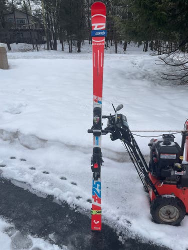 Rossignol Hero FIS GS 182 cm Racing Skis With Bindings Max Din 14 (Used)