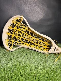 Gait womens D Head