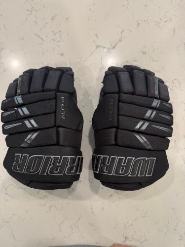 Warrior Alpha DX SE Gloves 14" (Used)