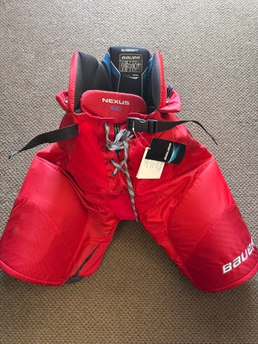 Senior Large Bauer Nexus 800 Hockey Pants (New)