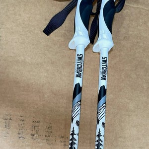 New Switchbak Mountain Pro ski poles [ Size:  48in (120cm) ]