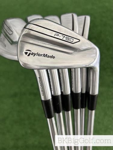 Taylormade P790 Forged Iron Set 5-P / Dynamic Gold X100 Extra Stiff