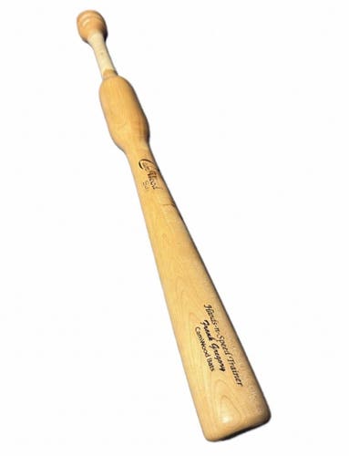 2023 CamWood Trainer Bat other 33" (Used)