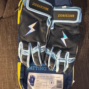 Large Batting Gloves (Used)