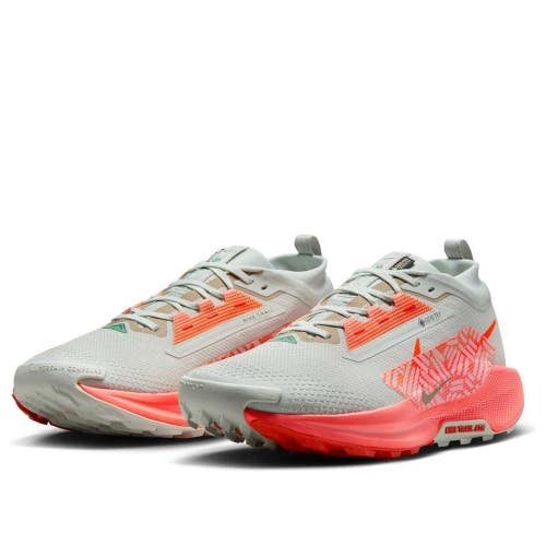 Nike Pegasus Trail 5 GORE-TEX FQ0908-004 Men US 10.5 Silver Running Shoes MEW135