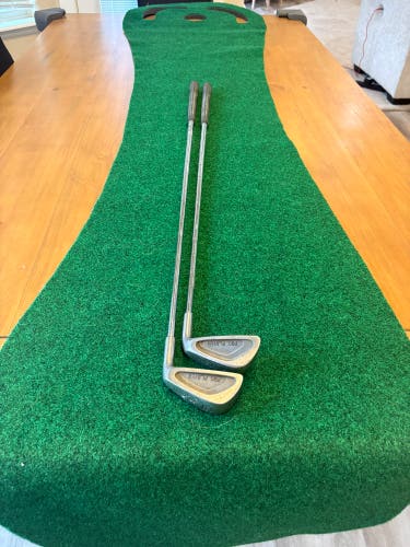 Golf Irons: Pro Player golf irons, 5,9.