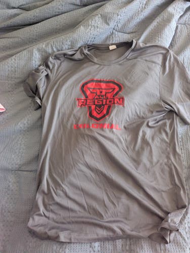 Gray Large Men's Shirt (Used)