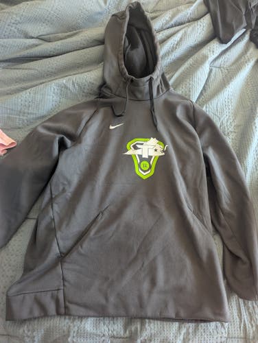 Gray Men's Large Nike Sweatshirt (Used)