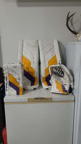 32+2 2024 True HZRDUS Px4 Regular Goalie Full Set Pro Stock (Used)