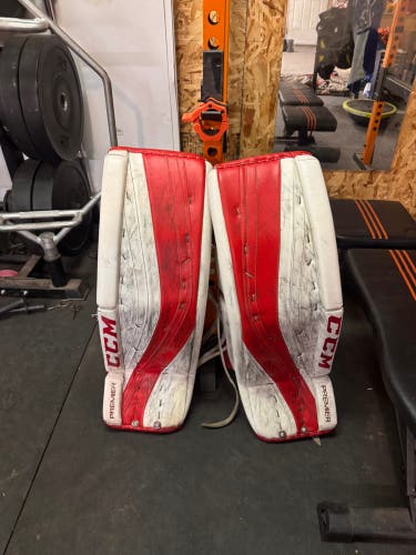 34+2 CCM Premier Pro Regular Goalie Full Set (Used)