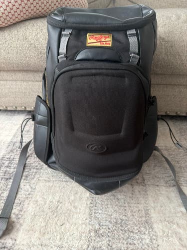 Rawlings Bat Bag (Used)