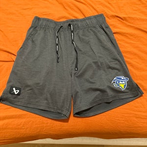Bauer Team Training Shorts