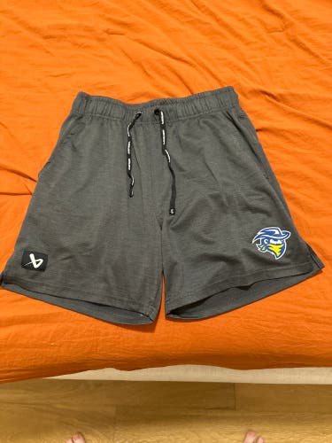 Bauer Team Training Shorts