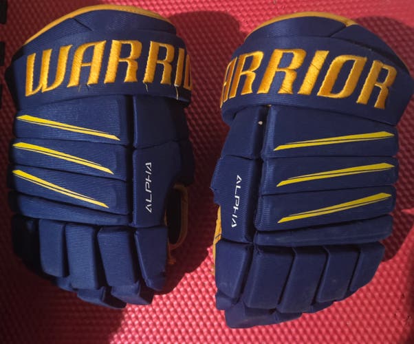 Warrior Alpha QX4 Blue/Yellow Gloves 14" (Used)