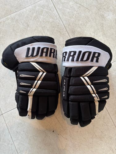 Warrior Alpha DX4 Gloves 12" (Used)