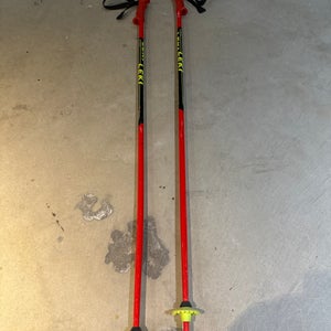 42in (105cm) Leki World Cup - GS All Mountain Ski Poles (Used)