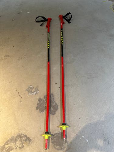42in (105cm) Leki World Cup - GS All Mountain Ski Poles (Used)