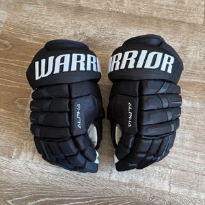 Pro Stock Warrior Alpha DX Pro Gloves 13" (slightly used)