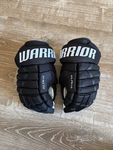 Pro Stock Warrior Alpha DX Pro Gloves 13" (slightly used)