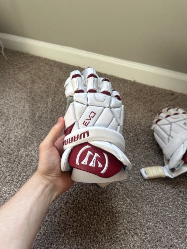 Warrior EVO QX Lacrosse Gloves (Used)