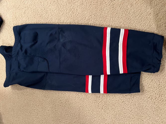 Blue Large Men's Jersey (Used)