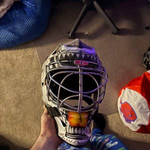 Custom Itech Goalie Mask