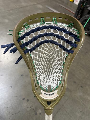 Notre Dame themed Gait Bedlam